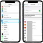 how to find compromised Keychain passwords on iPhone