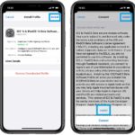 how to install iOS 14 Beta Profile