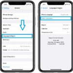 how to add language to the preferred languages list