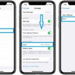 how to change exipiry date for audio messages