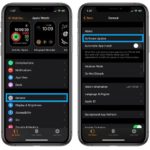 how to install watchOS 7 Public Beta