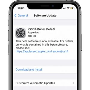 ios 14 Public Beta 5 Software Update