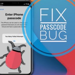 fix iPhone Passcode Bug in iOS 14