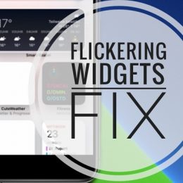 Fix flickering widgets in iOS 14