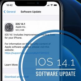 iOS 14. 1 Software Update