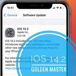 iOS 14.2 Golden Master Beta Update