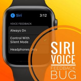 Apple Watch voice feedback bug in watchOS 7.1
