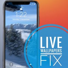 how to fix Live Wallpapers on iPhone