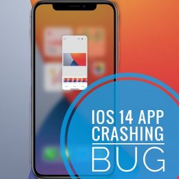 iOS 14.2 App Crashing bug