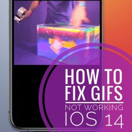 GIF not playing on iPhone