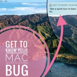 get to know your mac notification bug
