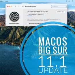 macOS Big Sur 11.1 update