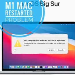 your computer was restarted because of a problem big sur