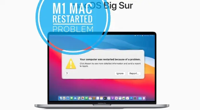 your computer was restarted because of a problem big sur