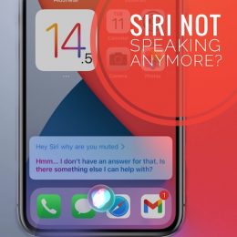 Siri doesn't speak on iPhone