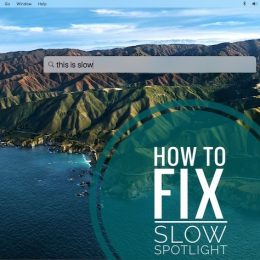 Spotlight search lagging on Mac