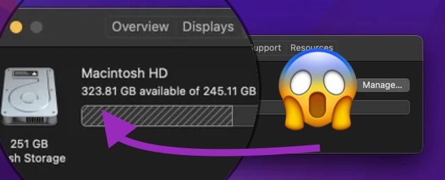 macOS Monterey beta 2 storage bug