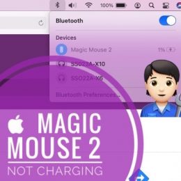 Magic Mouse 2 not charging