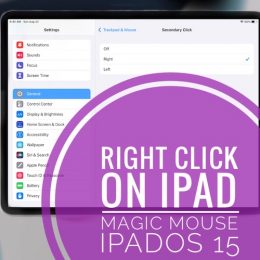 Magic Mouse Right Click on iPad