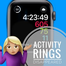 Activity Rings disappeared in watchOS 8