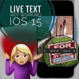 Live Text not working in iOS 15