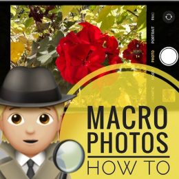 Macro Photos iPhone 13