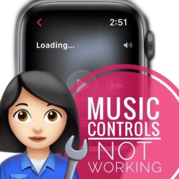 Music controls not working in watchOS 8