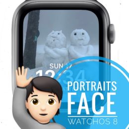 Portraits Watch Face on Apple Watch