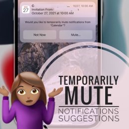 temporarily mute notifications suggestion
