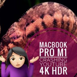 MacBook Pro Crashing During YouTube playback