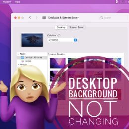 macOS Monterey desktop background not changing