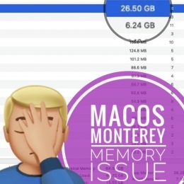 macos Monterey Memory issue