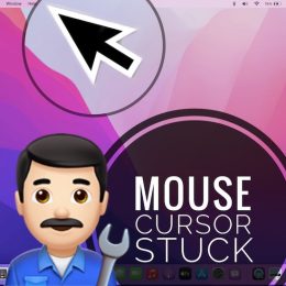 mouse cursor stuck on Mac