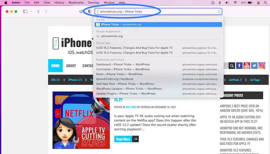 URL in Safari address bar
