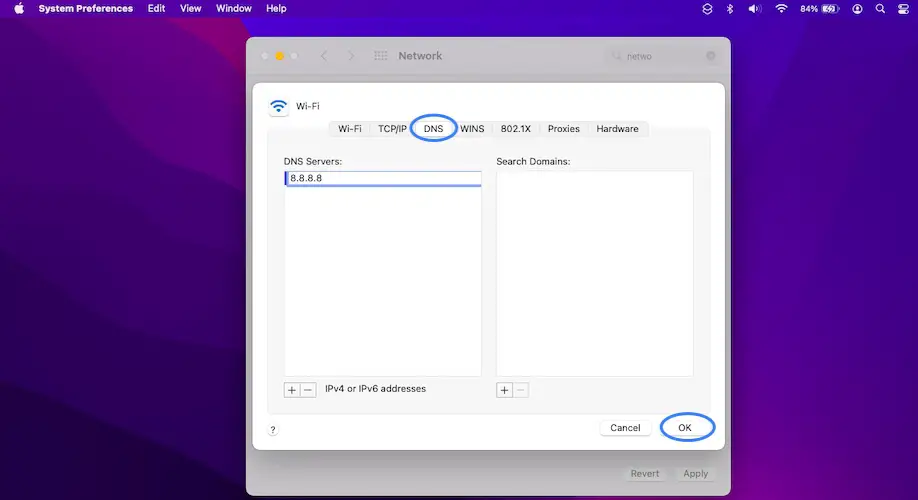 adding public DNS in macOS to fix Safari lagging