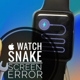 Apple Watch snake screen error