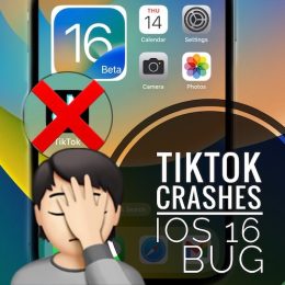 Tiktok crashing in iOS 16