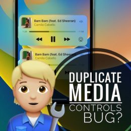 duplicate media controls bug