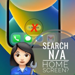 search not showing on home screen