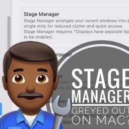 stage manager greyed out on mac