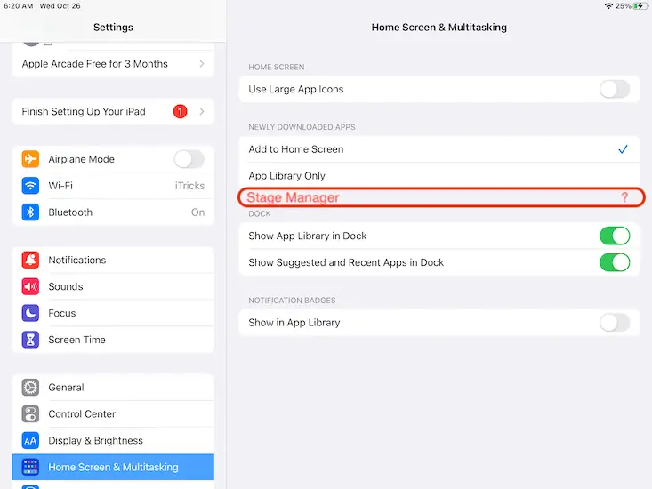 stage manager not showing up on ipad 8th gen