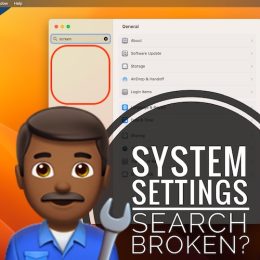 system settings search not working