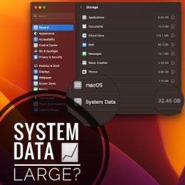 Mac System Data large