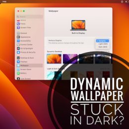 dynamic wallpaper not working macos ventura