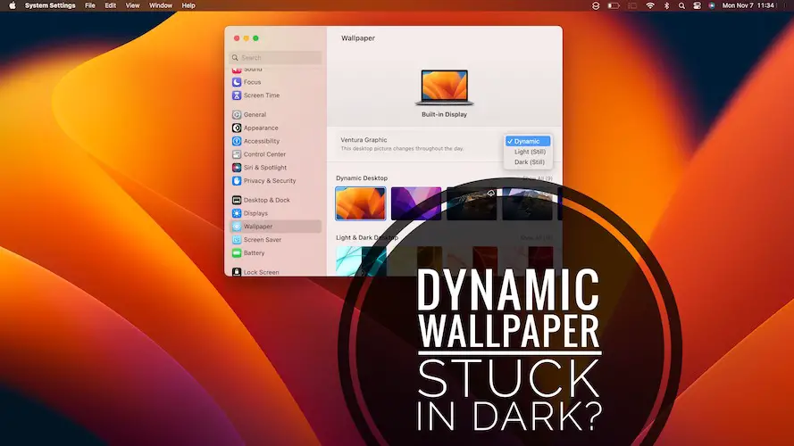 dynamic wallpaper not working macos ventura