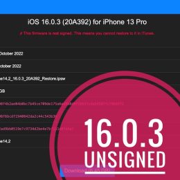 iOS 16.0.3 not signed
