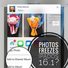 photos freezes on ipad in ipados 16
