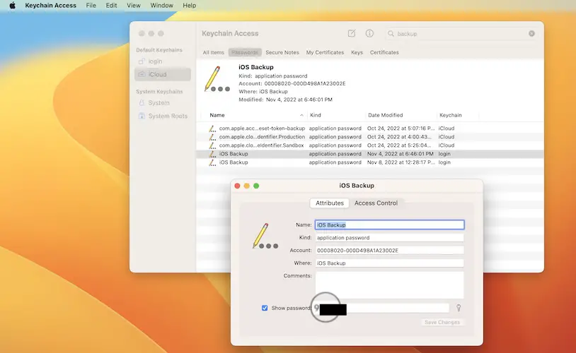 recover encrypted iphone backup password