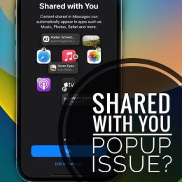 shared with you in messages