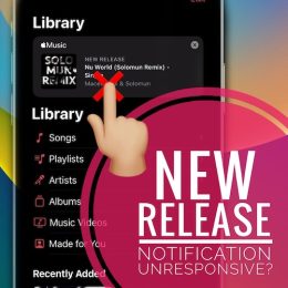 apple music new release notification not working